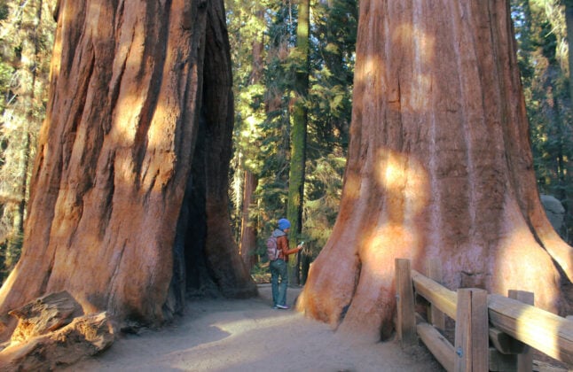 Hiking in Sequoia and Kings Canyon National Parks, California