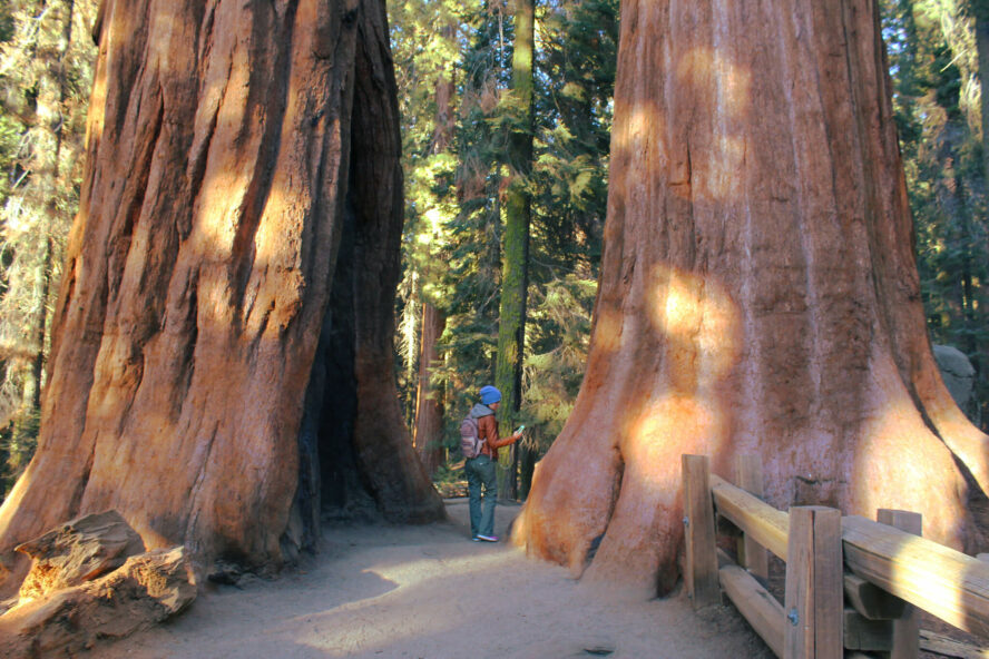 Hiking in Sequoia and Kings Canyon National Parks, California