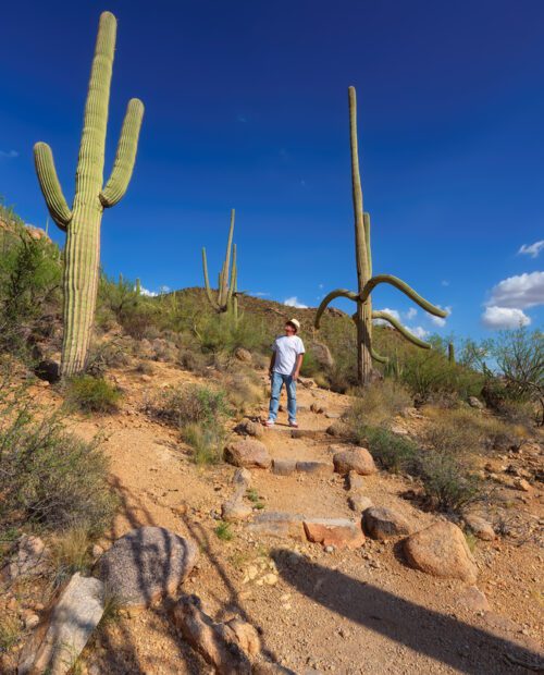 Hiking in Saguaro National Park, Arizona