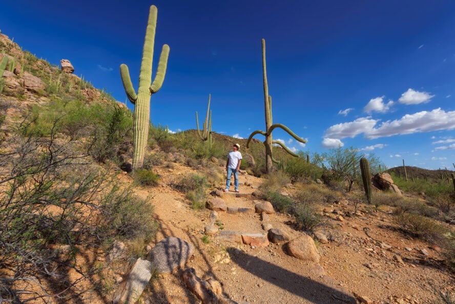 Hiking in Saguaro National Park, Arizona