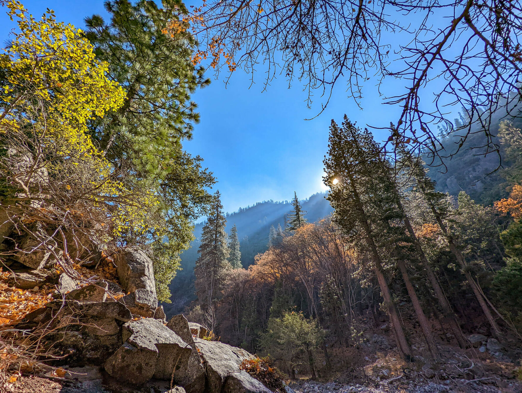 Scenery in Kings Canyon National Park