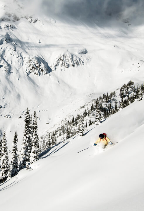 The Monashees have an absolutely epic backcountry skiing terrain.