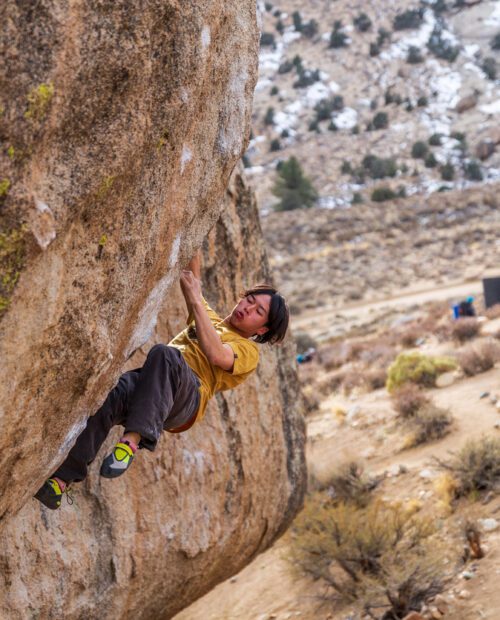 Private Climbing Courses in the Owens River Gorge