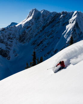 A skier shredding Revelstoke's powdery backcountry terrain.