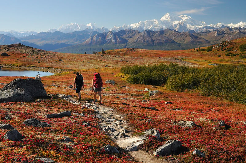 The tundra lights up with fall colors on Kesugi Ridge, in Alaska's Denali State Park.