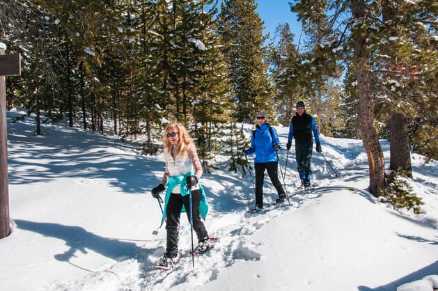 Yellowstone Snowshoeing and Cross-Country Skiing