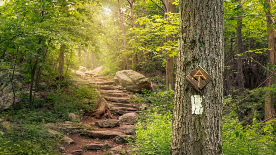 There are many different signs used to define the Appalachian Trail and most of them feature a variation of the Three-Legged Stool, like the one shown here