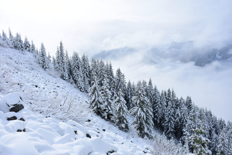 Views of snowy trees and a cloudy ridge in the North Cascades of Washington during winter.