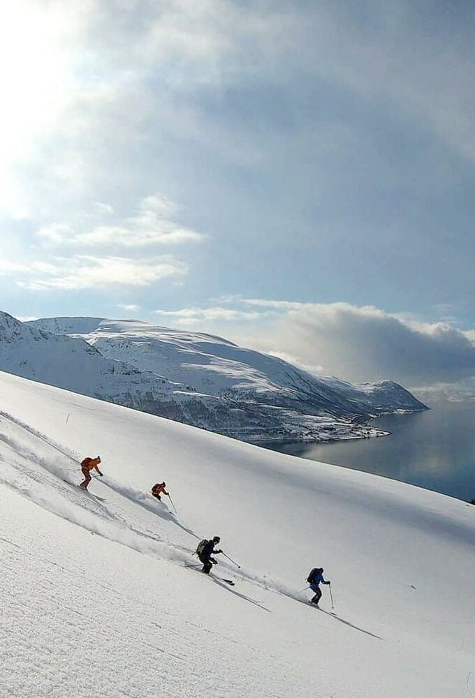 Skiers enjoying the fresh powder.