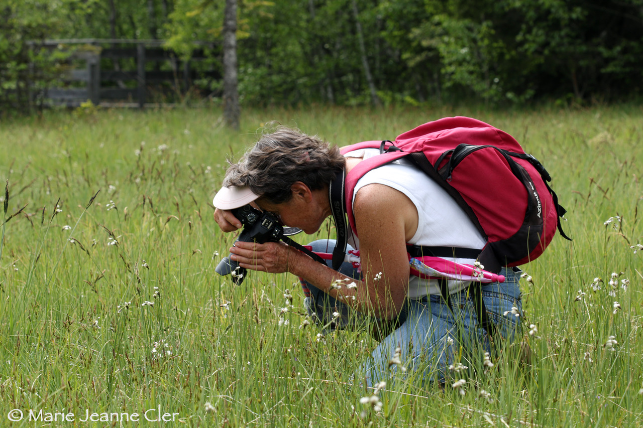 A guide taking a photo of a flower in the Chamonix area