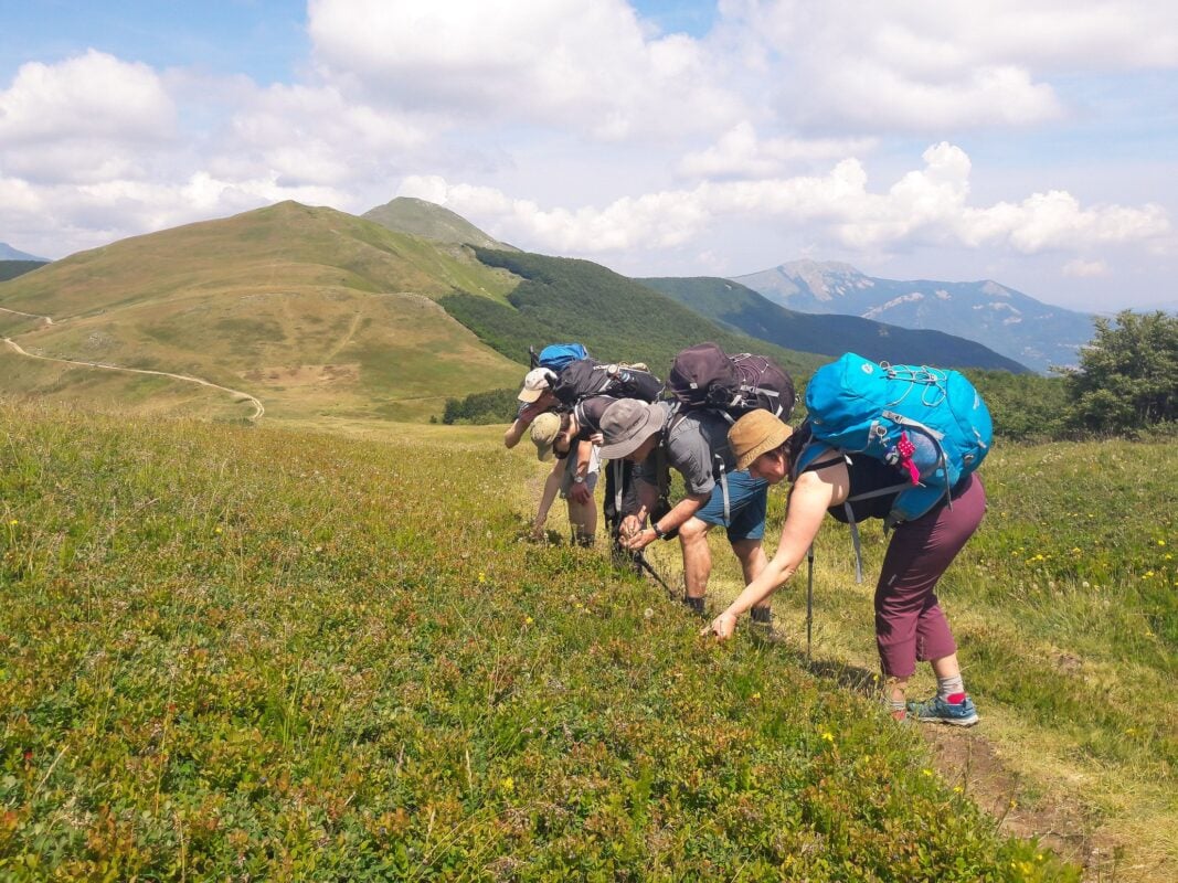 Hikers on a meadow in Tuscany