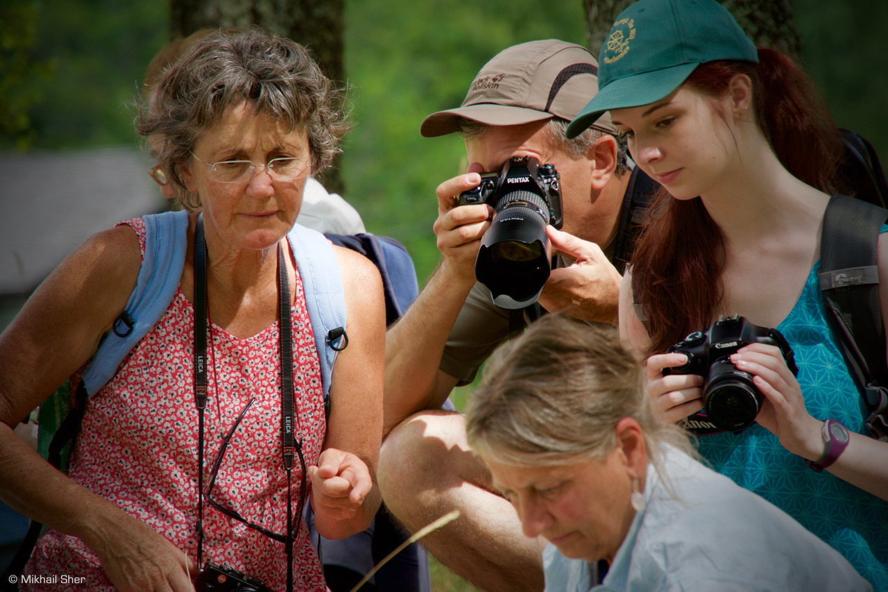 People taking photos in the Chamonix area