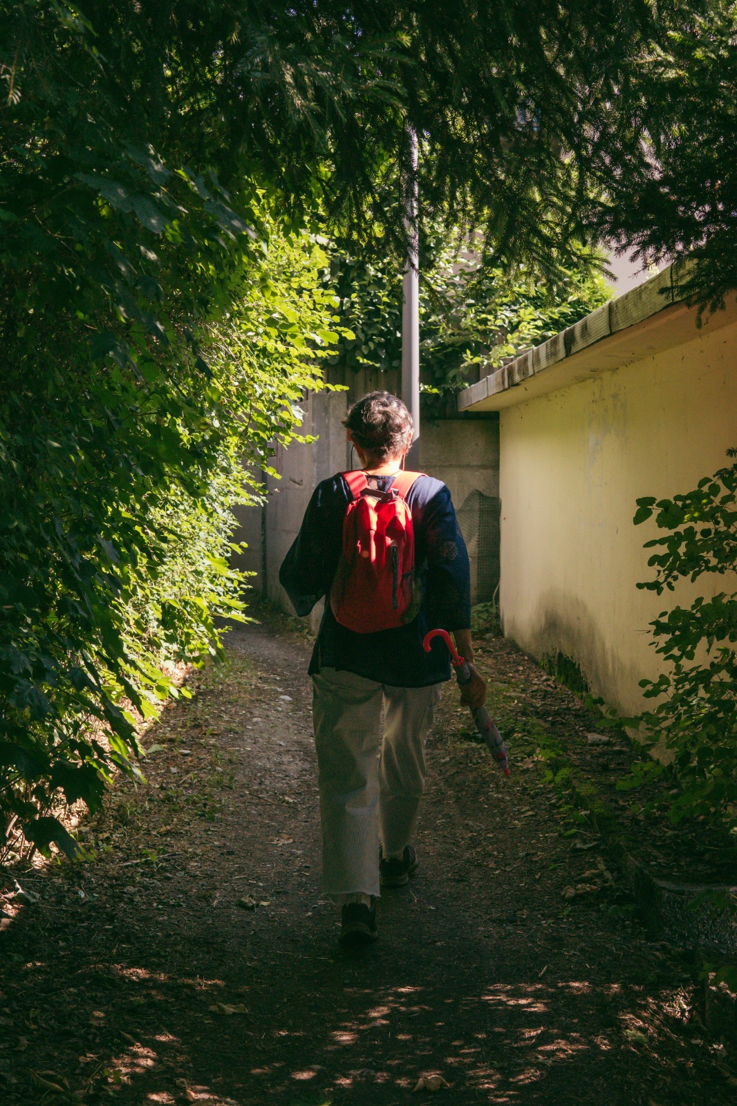 Photo Walks in the Chamonix area