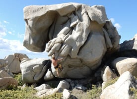 Climbing a peculiar rock formation in Sardinia.