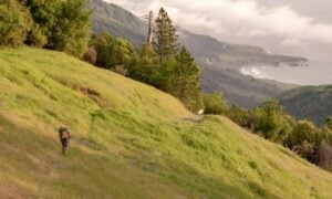 There are many hiking options in Big Sur including the Buzzard Roost Trail and Salmon Creek Trail.