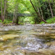 The Salmon Creek Trail is one of the most popular short trails for locals in the Big Sur area.