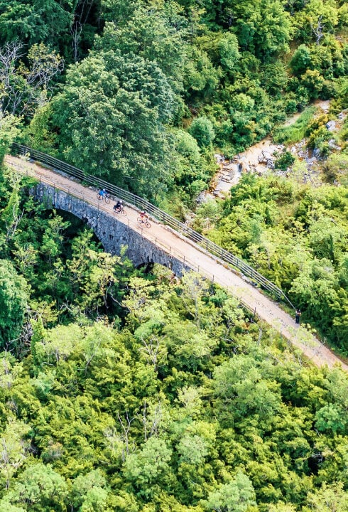 Cycling in the breathtaking Istria.