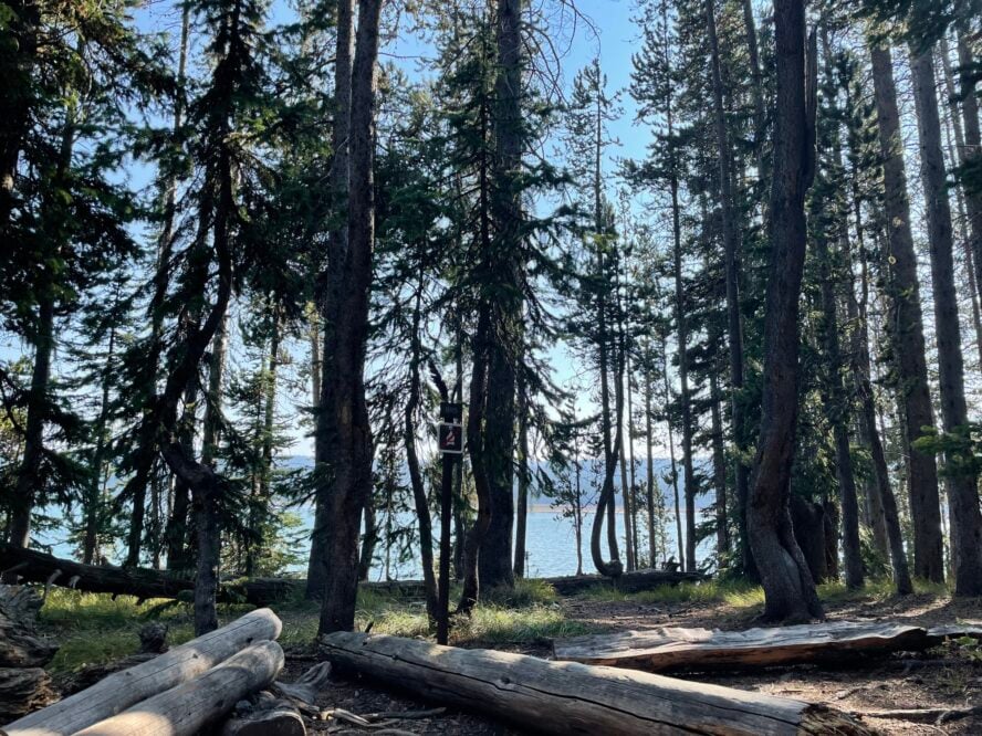 The Delacy Creek Trail is a moderate hike that leads to Shoshone Lake. 