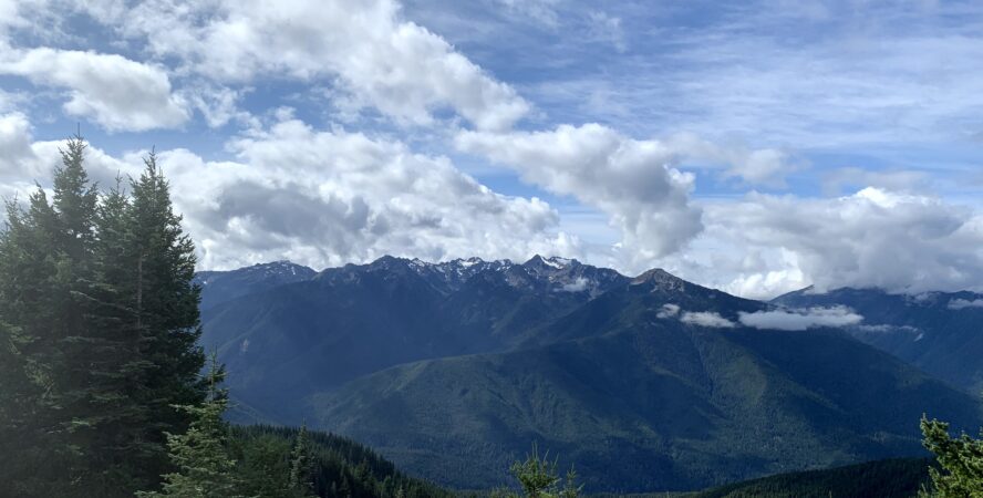 Olympic National Park is one of the largest wilderness areas in the contiguous U.S.