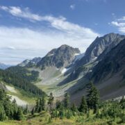 There are an estimated 236,000 acres of old growth forest in the North Cascades National Park.