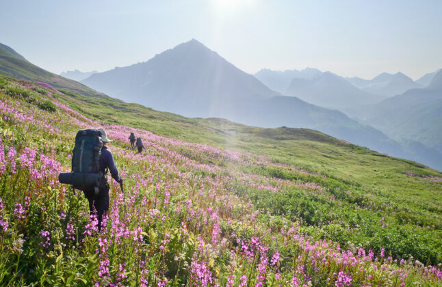 backpackers-meadow-denali-national-park