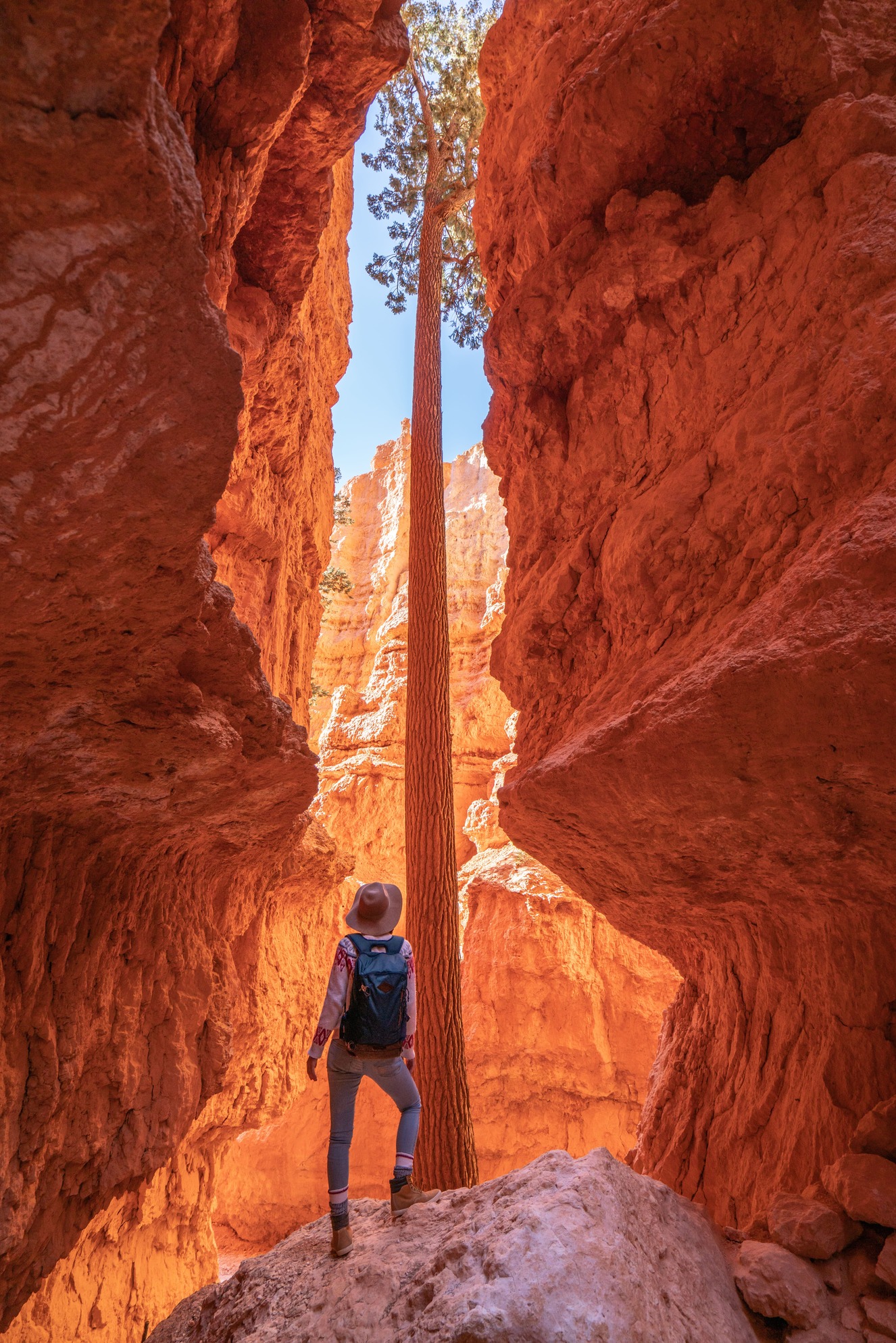 Person walking in Bryce Canyon National Park