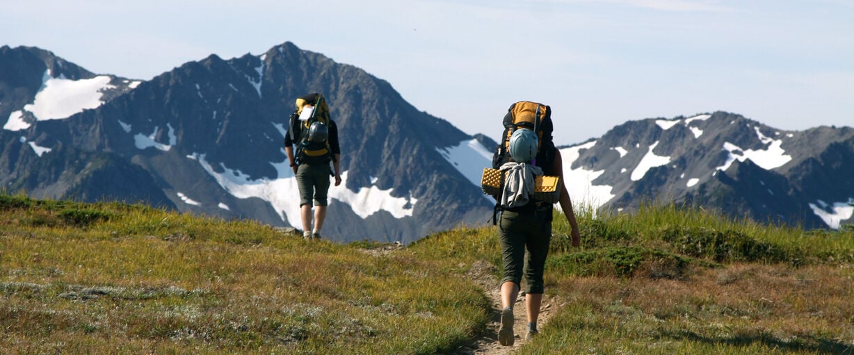 Hiking on an alpine trail in the Olympic National Park