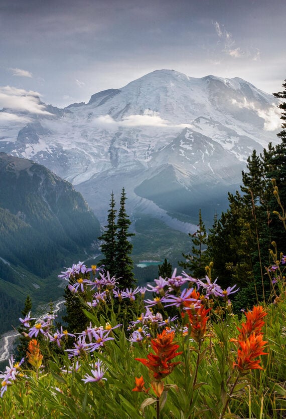 View of the mountains and flowery meadows