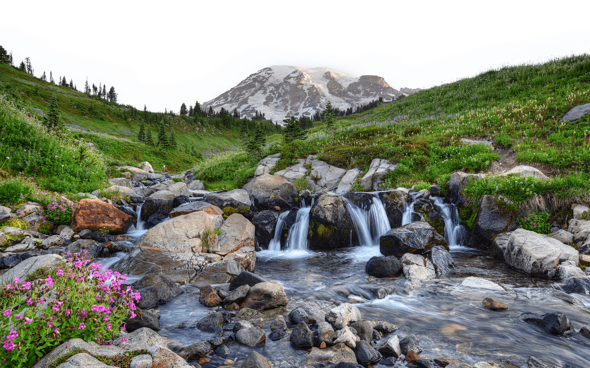 Hiking Mount Rainier & Olympic National Park