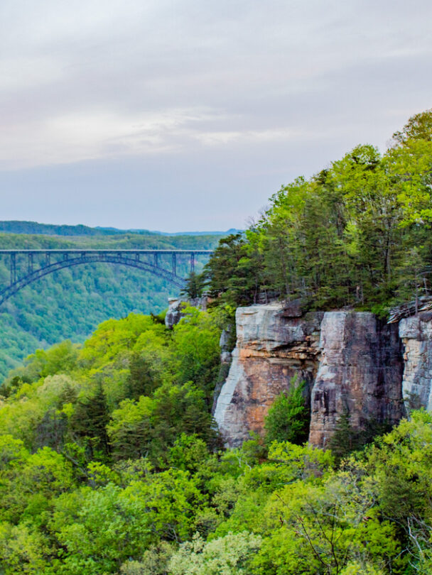 Rock climbing clinics in Red River Gorge