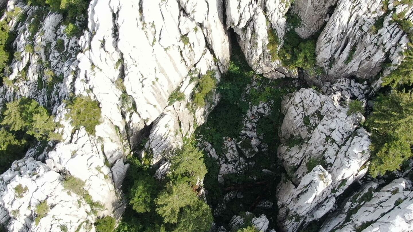 View of Risnjak forests from above