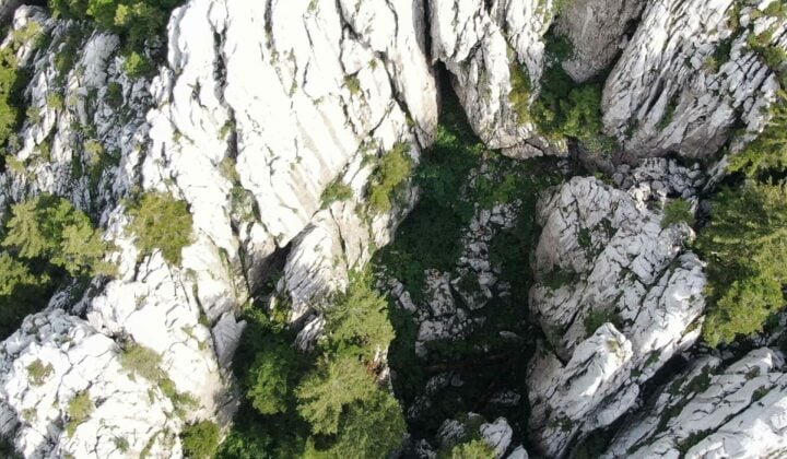 View of Risnjak forests from above