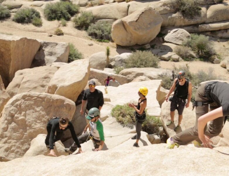 Joshua Tree Climbing Chalk Bag -  Canada