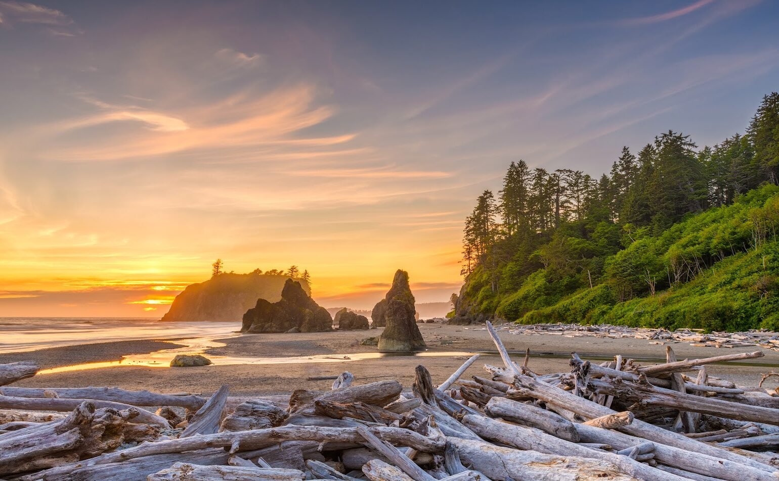 Olympic National Park, Washington, USA at Ruby Beach with piles of deadwood.