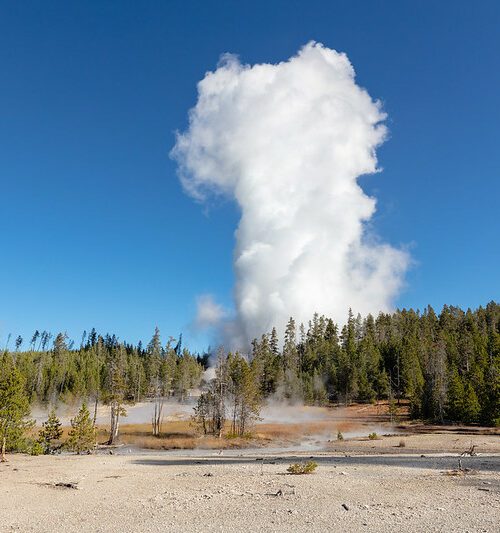 Private Guided Hikes in Yellowstone National Park | 57hours