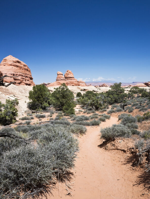Guided Moab hiking tour