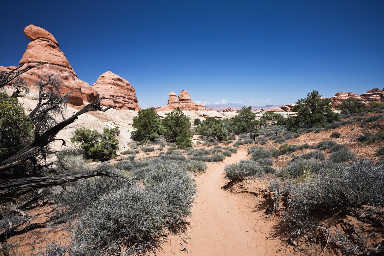 Trail to Chesler Park