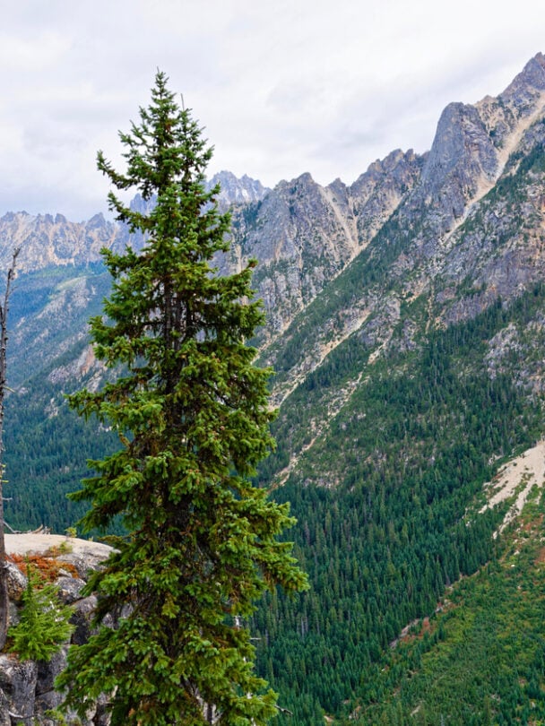 Alpine rock climbing courses in Washington