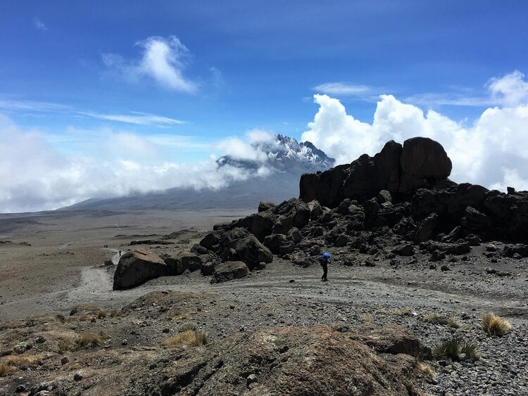 Porters are vital to the trekking and expedition industry, including places like Kilimanjaro and the Himalaya.