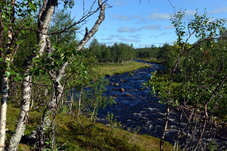 Camping on the Karvajoki, a bright blue sky contrasted against the green banks and obsidian water.