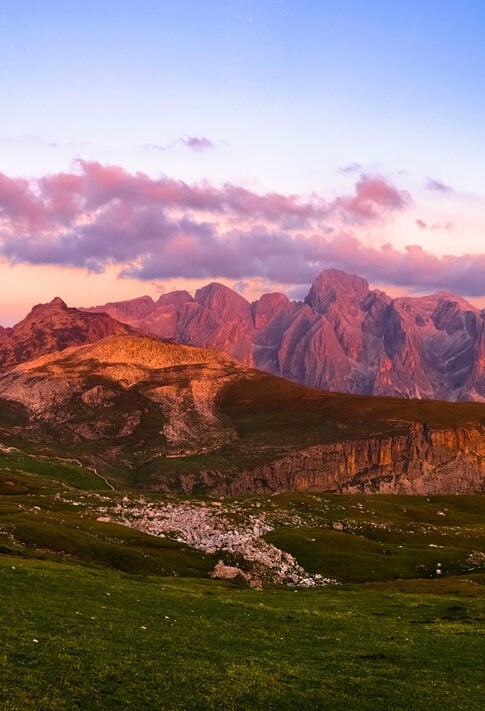 Cow grazing in a mountain landscape of the Dolomites.