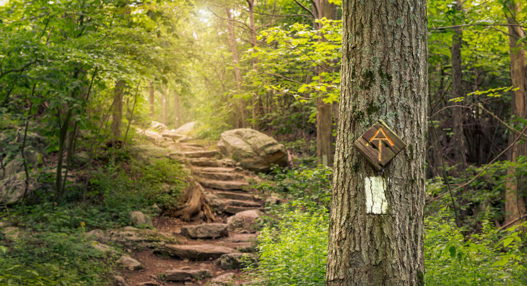 The Appalachian Trail is marked clearly, so it’s very hard to get lost on the trail.