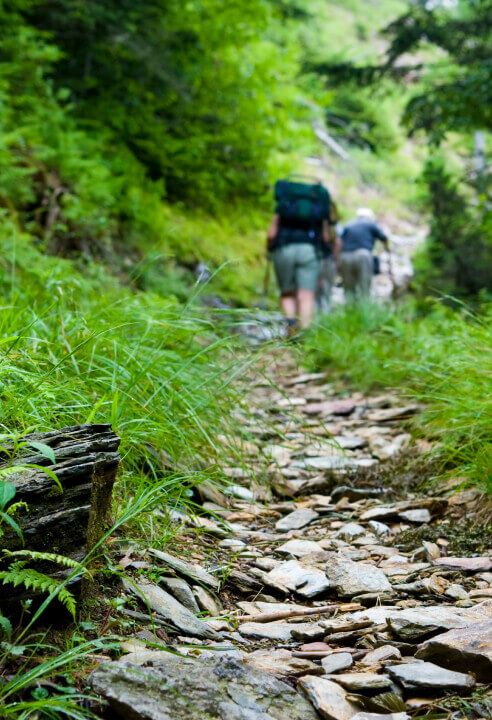 Just one of the many rocky paths on the Appalachian Trail.