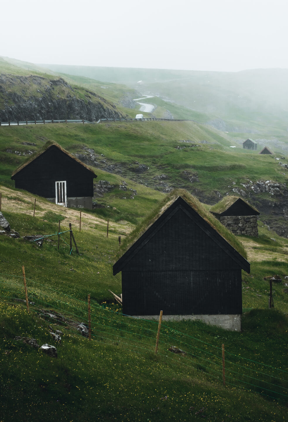 Faroe Islands are renowned for their houses with roofs covered with mousse.