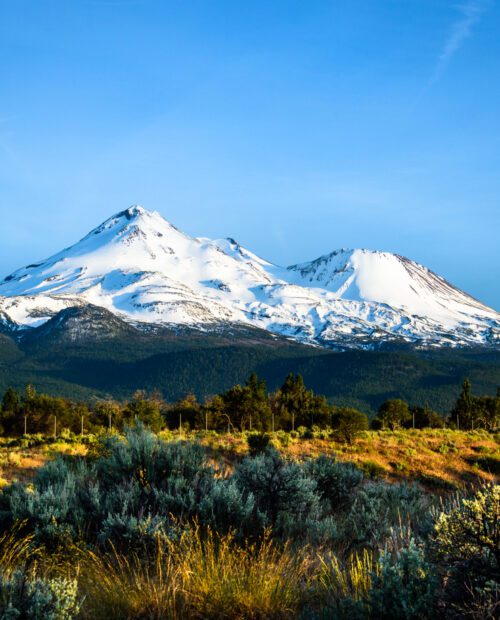 are dogs allowed in mount shasta