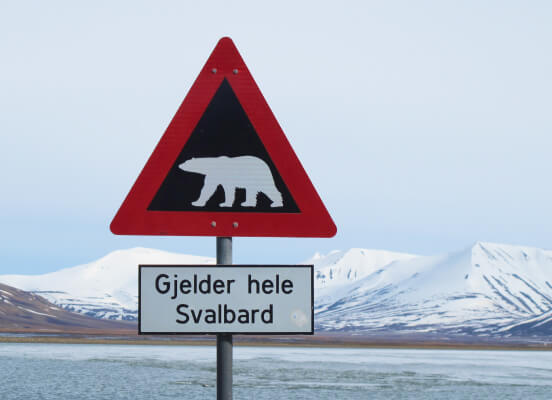 This road sign in Svalbard indicates a high chance of a polar bear appearing.