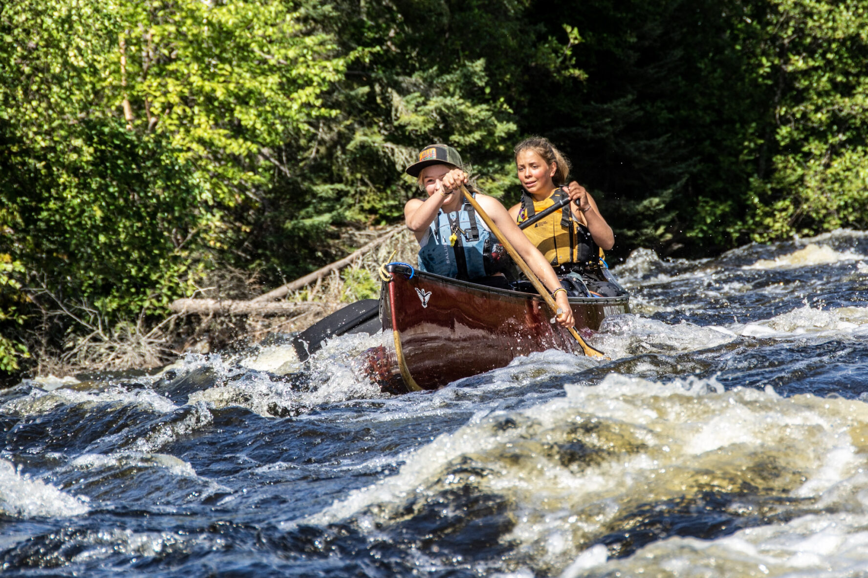 Wild canoeing on the Paull River, Canada