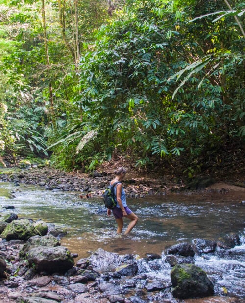 3-Day Hiking Tours in Corcovado National Park