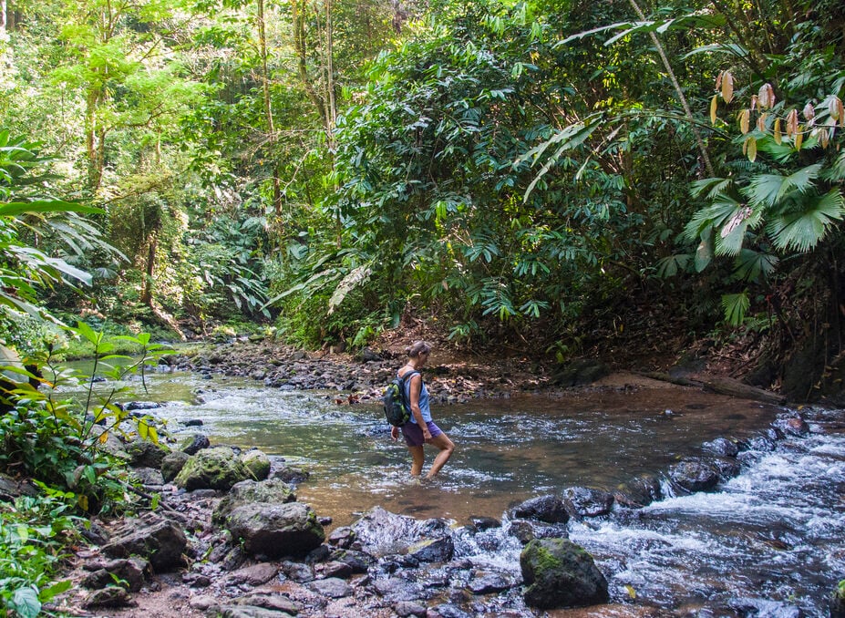 3-Day Hiking Tours in Corcovado National Park