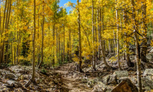 Maroon Bells is one of the most popular hiking areas in Colorado for a reason, it’s beautiful!